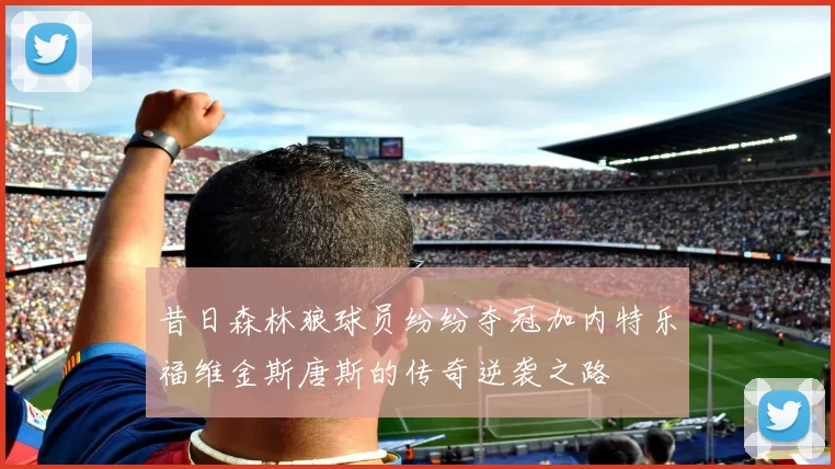 昔日森林狼球员纷纷夺冠加内特乐福维金斯唐斯的传奇逆袭之路