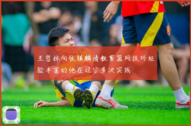 王哲林向张镇麟请教剪篮网技巧经验丰富的他在辽宁多次实践