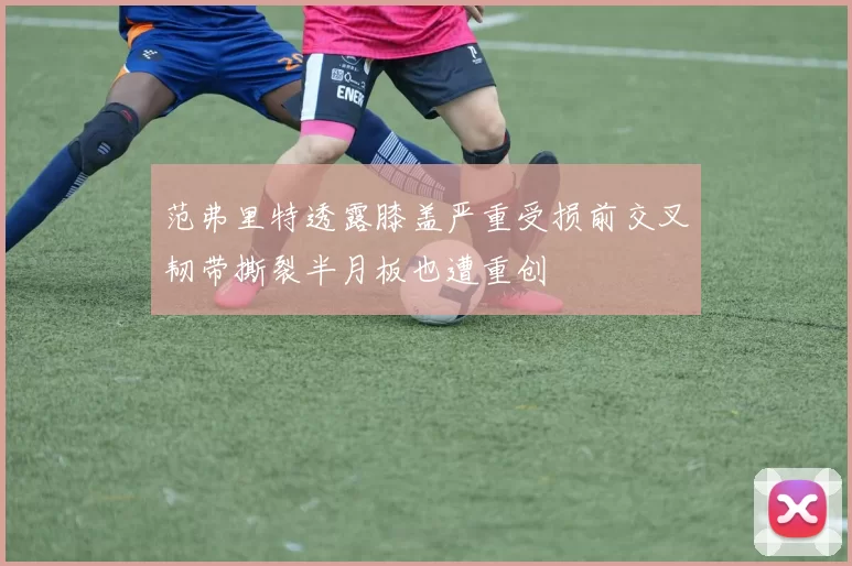 范弗里特透露膝盖严重受损前交叉韧带撕裂半月板也遭重创